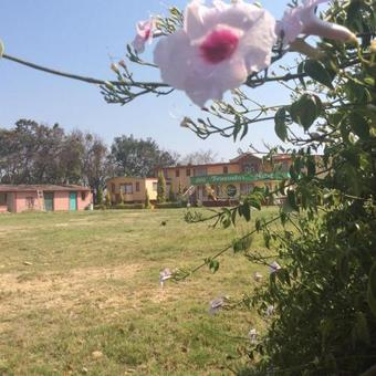 Hotel Fernando's