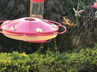 Lodge Mountain Getaway Near Bogota