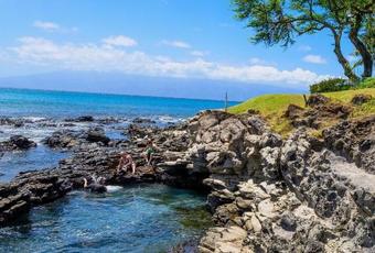 Apartamento Napili Point C-12