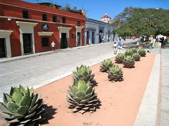 Ver fotos