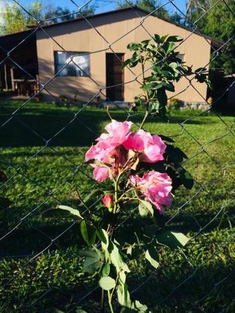 Allegra Casas De Campo