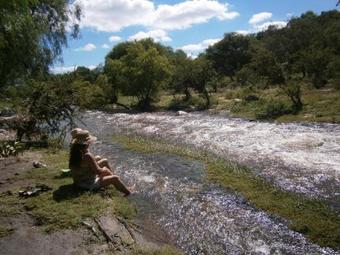 Ver fotos