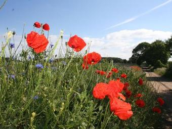 Apartamento Jojohus - Erdgeschoss Mit Terrasse