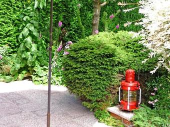 Ferienhaus Born Fdz 221