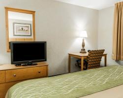 Hotel Comfort Inn