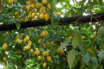 Colli Di Fontanelle Villa Sleeps 4 Pool Air Con