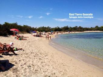 Il Trullo Dell'ulivo Bianco