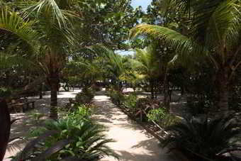 Hotel Paradise Beach Club