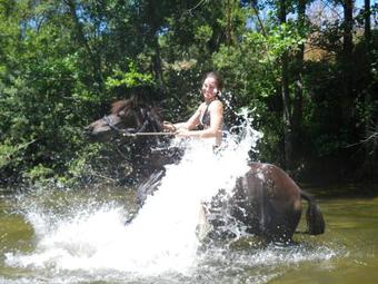 Bed & Breakfast Maison D'h�tes De Charme De Croccano