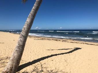 Jobos Beach Apartment