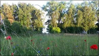 Ferienwohnung Maeckelborg