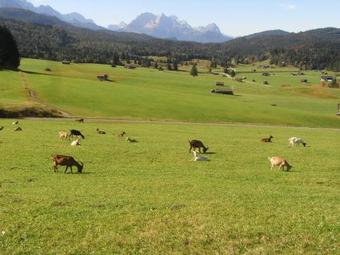 Apartamento G�stehaus Anneliese