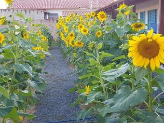 Hotel Pousada F� Amor Caridade