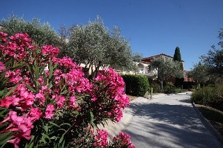 Hotel Pv Villages Les Restanques Du Golfe De St Tropez