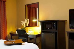 Hotel Hampton Inn & Suites Dallas-desoto