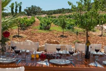 Korithi Villa Sleeps 14 Pool Air Con Wifi