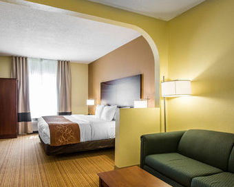 Hotel Comfort Suites Anderson