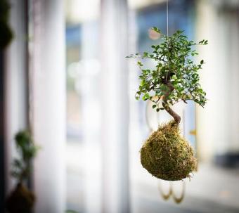 Hotel The Black Bull Inn