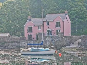 Curlew, Milford Haven