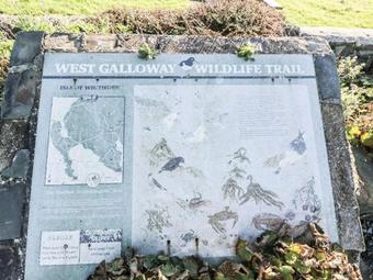 The Clamshell, Newton Stewart