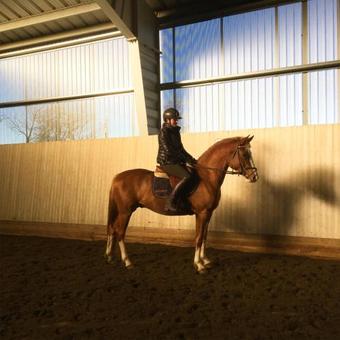 Bed & Breakfast Skummesl�v B & B