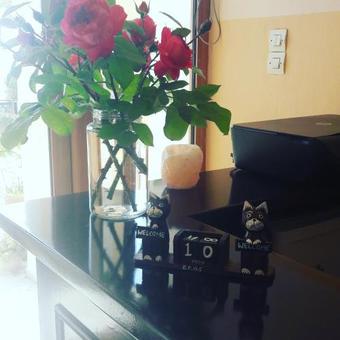Ver fotos