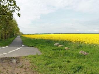 Modern Holiday Home In Brusow With Roofed Terrace