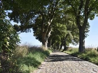 Apartamento Kleines Schloss Sophie