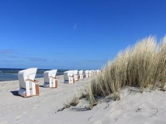 Pretty Apartment In Detershagen With Private Terrace