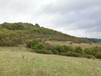 Cosy Apartment In Mullenborn With Terrace