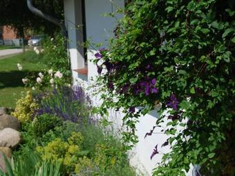Apartamento Hiddensee