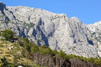 Apartment Veliko Brdo 6791b