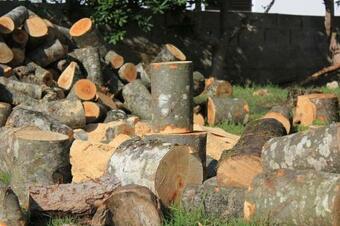 Apartment Dinjiska 9386a