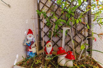 Apartment Branislava