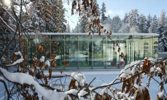 Grand Hotel Waldhaus