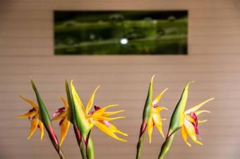 Les Villas Cr�oles De Sainte-anne