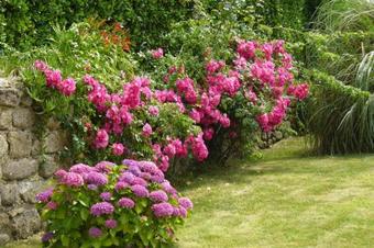 Holiday Home Plouarzel - Bre05068-f