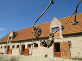 Holiday Home 't Hof Der Witte Damen