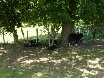 Agroturismo Xhawirs Horse Farm