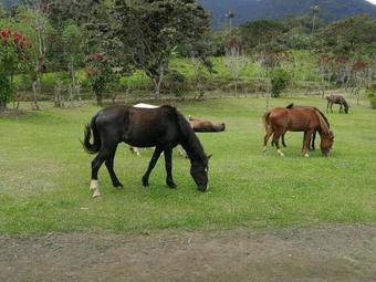 Agroturismo Reserva-hacienda Cachillacta