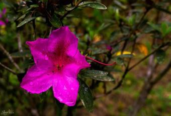 Lodge Rita Naturaleza Pura