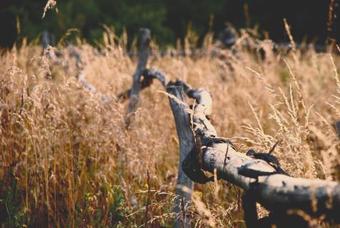 Bed & Breakfast Metsara B & B