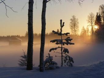 Toosikannu Holiday Centre