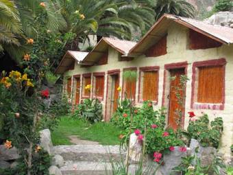 Hostal Paraiso Las Palmeras Lodge