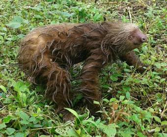 Lodge Casita Rio Indio