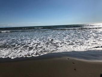 Mariposa Blanca Beach House