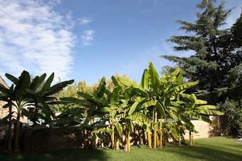 Hostal Finca La Octavia