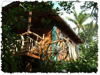 Hotel Eco Posada Tortuga Verde