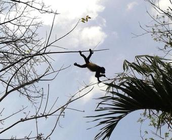Hotel Laguna Beach Club
