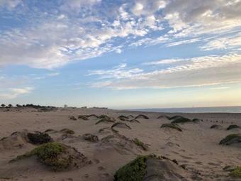 Apartamento Dolphin Leap 7